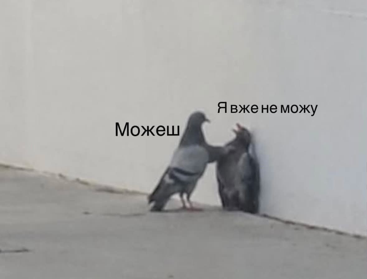 Тотальна дурка: кияни мемами передають свій настрій останніх тижнів - фото 915880