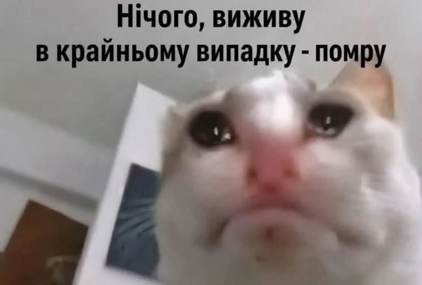 Тотальна дурка: кияни мемами передають свій настрій останніх тижнів - фото 915882