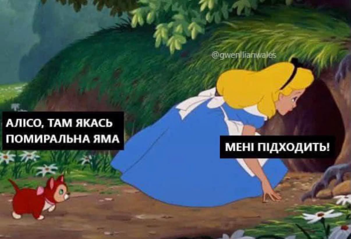Тотальна дурка: кияни мемами передають свій настрій останніх тижнів - фото 915883