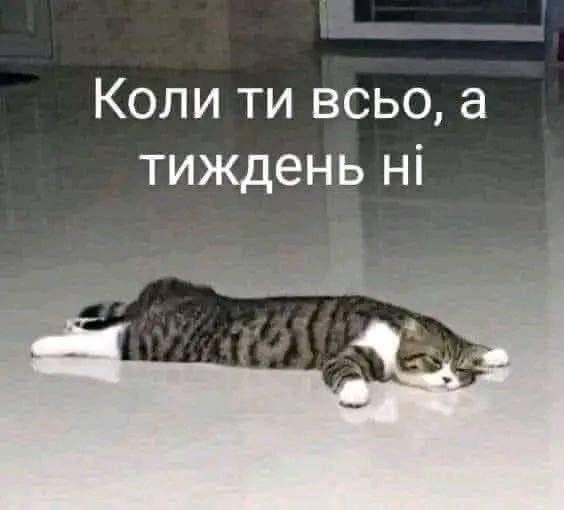 Тотальна дурка: кияни мемами передають свій настрій останніх тижнів - фото 915884