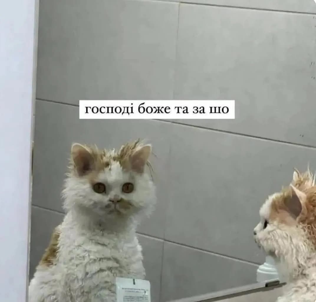 Тотальна дурка: кияни мемами передають свій настрій останніх тижнів - фото 915891