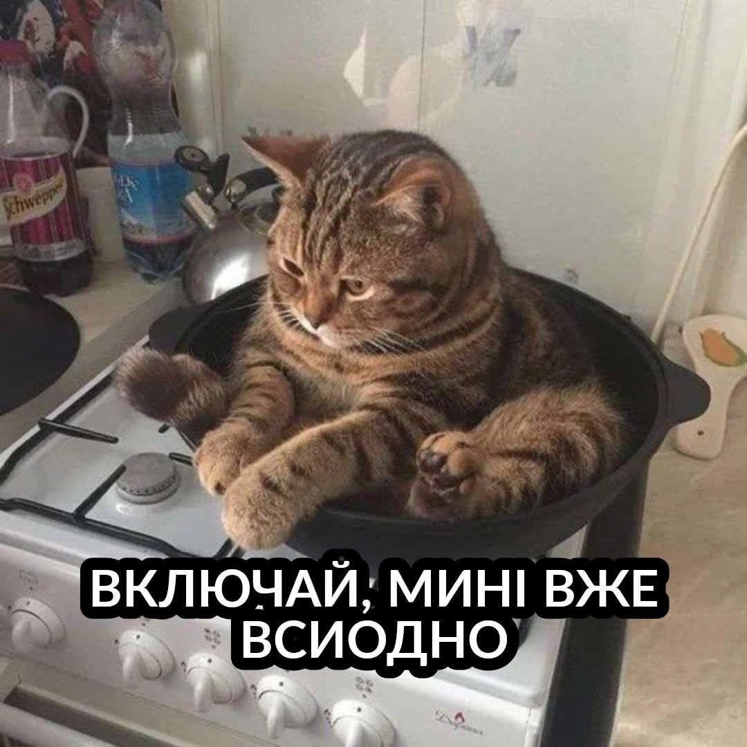 Тотальна дурка: кияни мемами передають свій настрій останніх тижнів - фото 915892