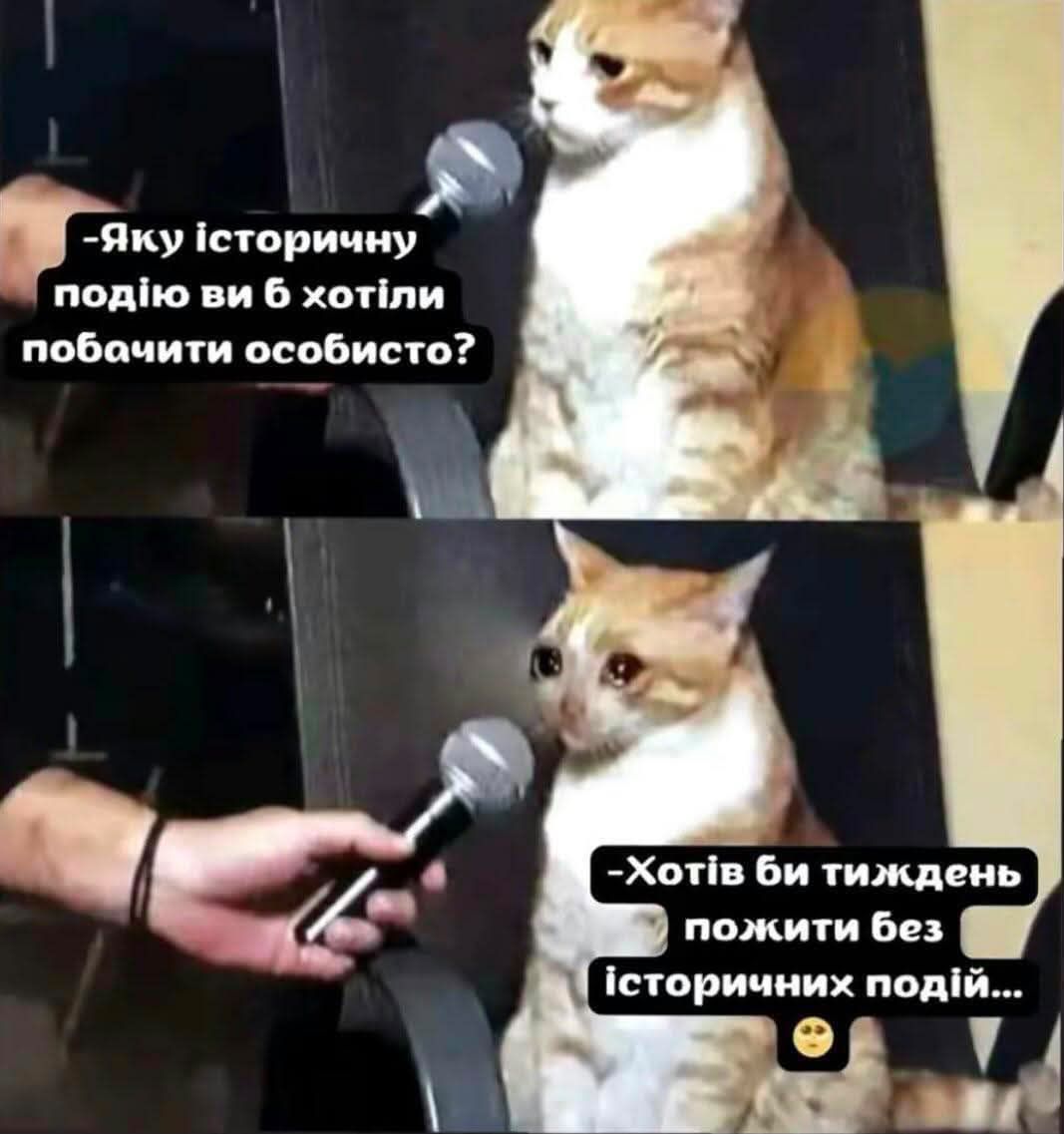 Тотальна дурка: кияни мемами передають свій настрій останніх тижнів - фото 915894
