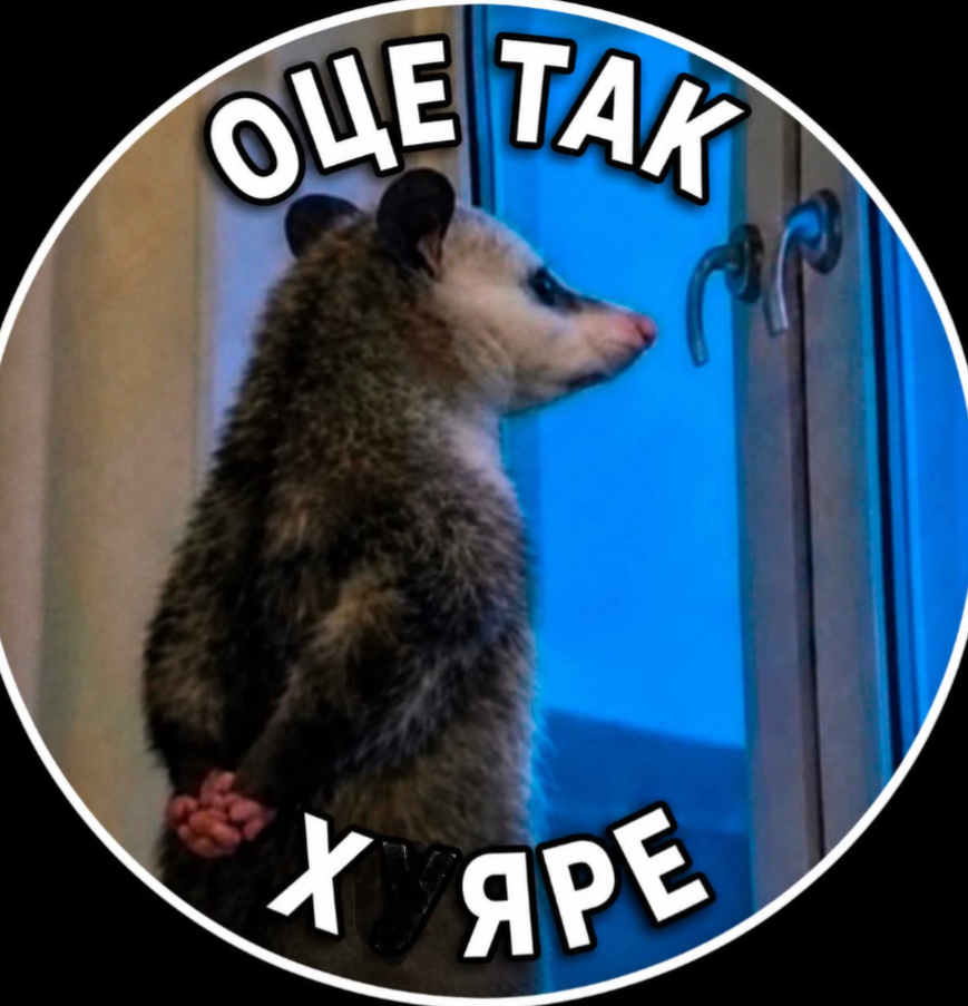 Тотальна дурка: кияни мемами передають свій настрій останніх тижнів - фото 915896