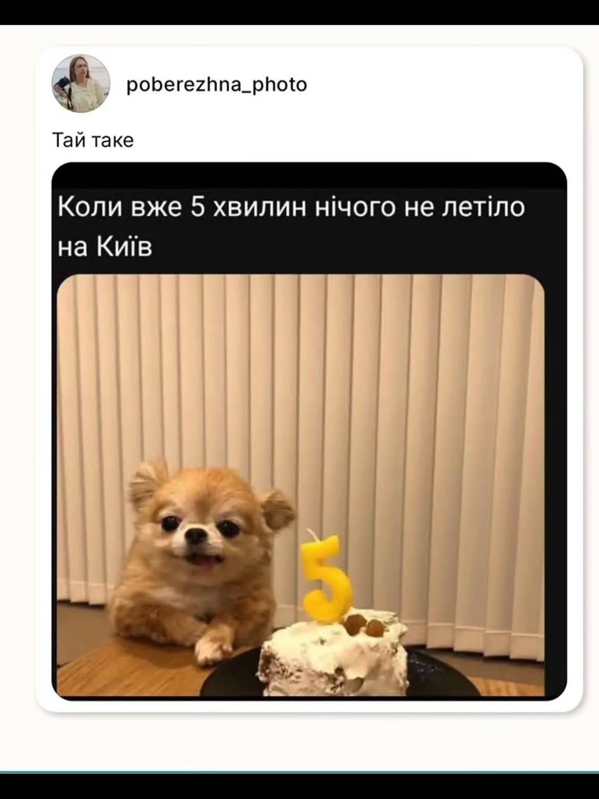 Надя Дорофєєва про життя в Києві - фото 916293