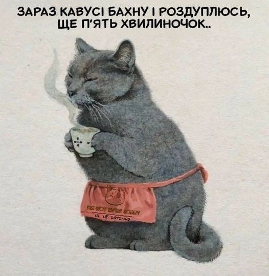 Меми про кавусю – бо хто, як не вона, врятує цей світ - 916919 Меми про кавусю – бо хто, як не вона, врятує цей світ - фото 916919