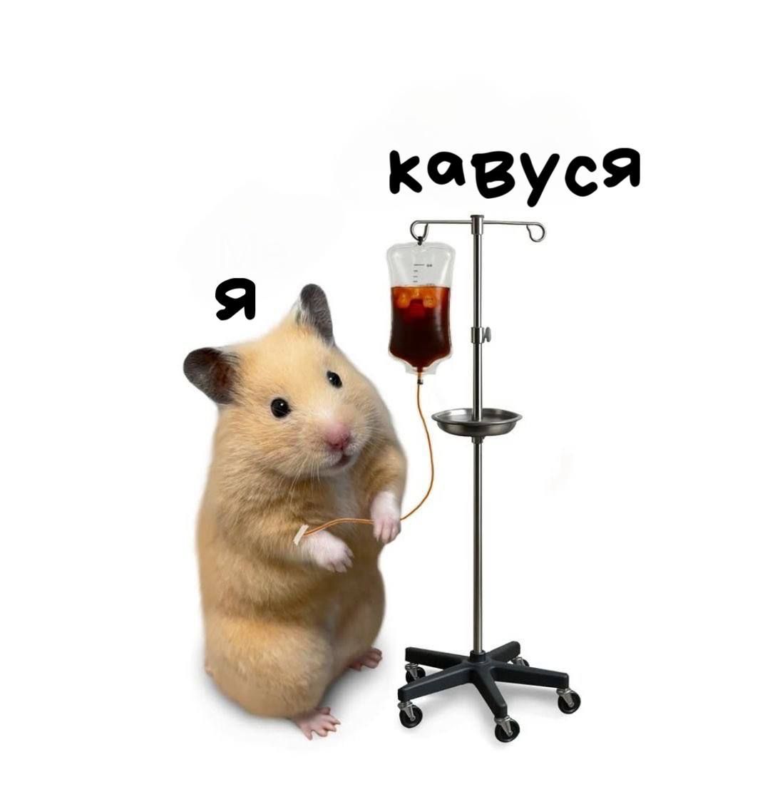 Меми про кавусю – бо хто, як не вона, врятує цей світ - 916923 Меми про кавусю – бо хто, як не вона, врятує цей світ - фото 916923