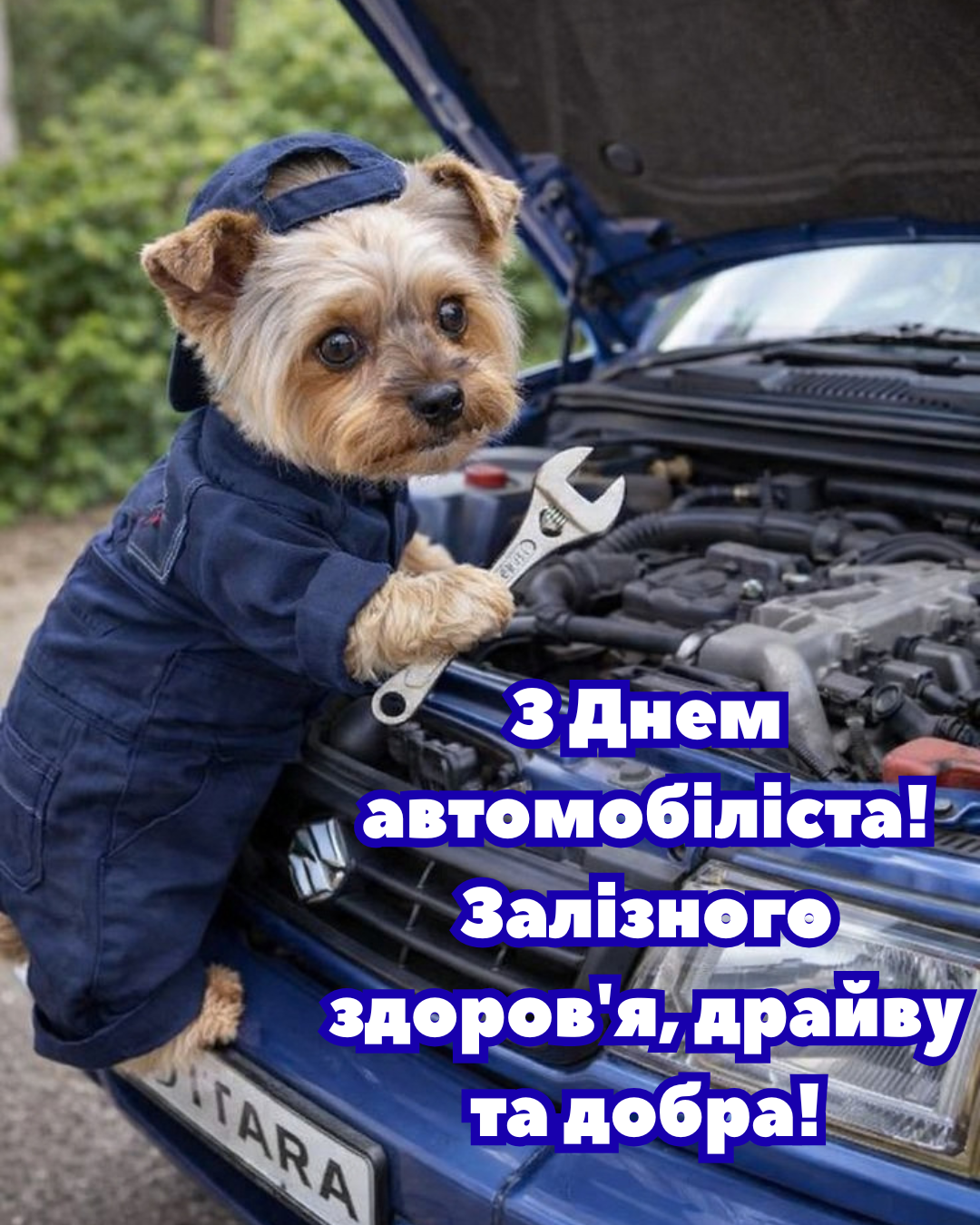 смішні картинки до Дня автомобіліста - фото 918293