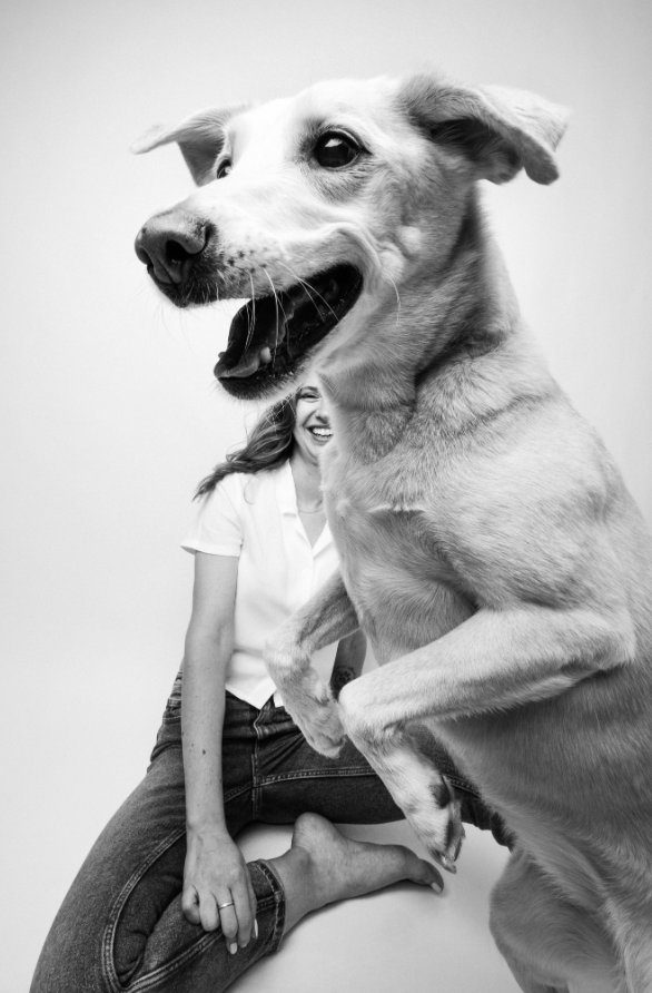 Пушистые модели покорили объектив: объявлены победители Dog Photography Awards 2026 - фото 918591