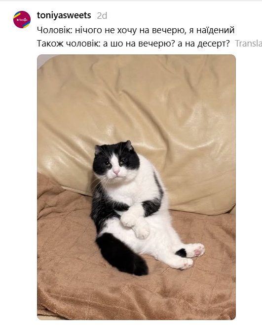 'Пропади, ради Бога': пользователи сети придумывают смешные подписи к фото кошки в забавной позе - 919014 'Пропади, ради Бога': пользователи сети придумывают смешные подписи к фото кошки в забавной позе - фото 919014