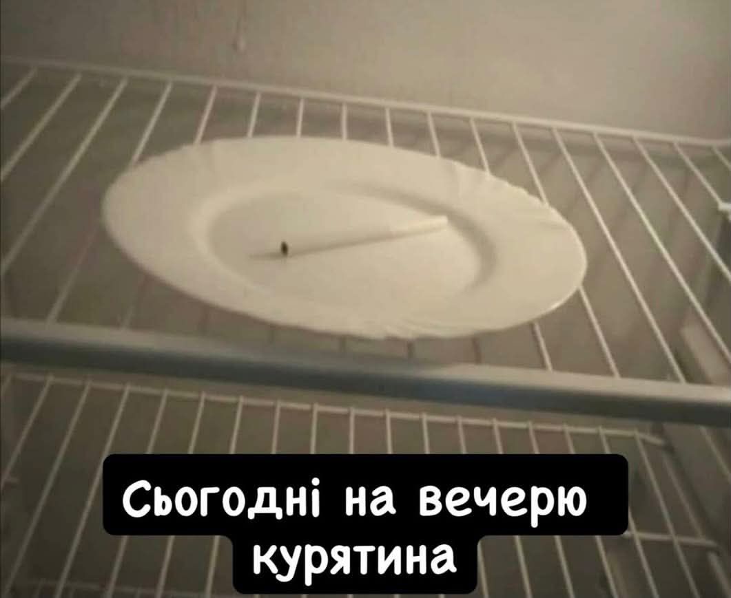 Забавные мемы, которые нужны каждому, кто пытается выжить в этом мире - фото 919042