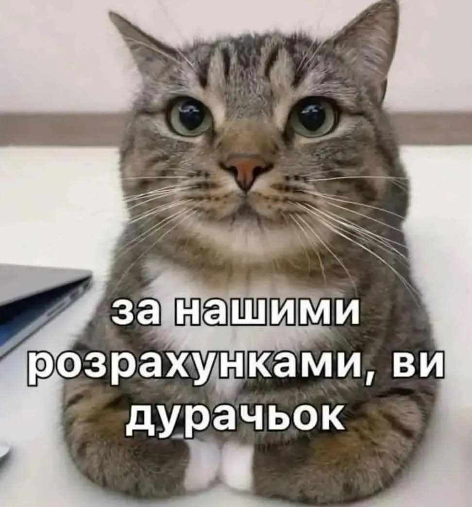 Забавные мемы, которые нужны каждому, кто пытается выжить в этом мире - фото 919045