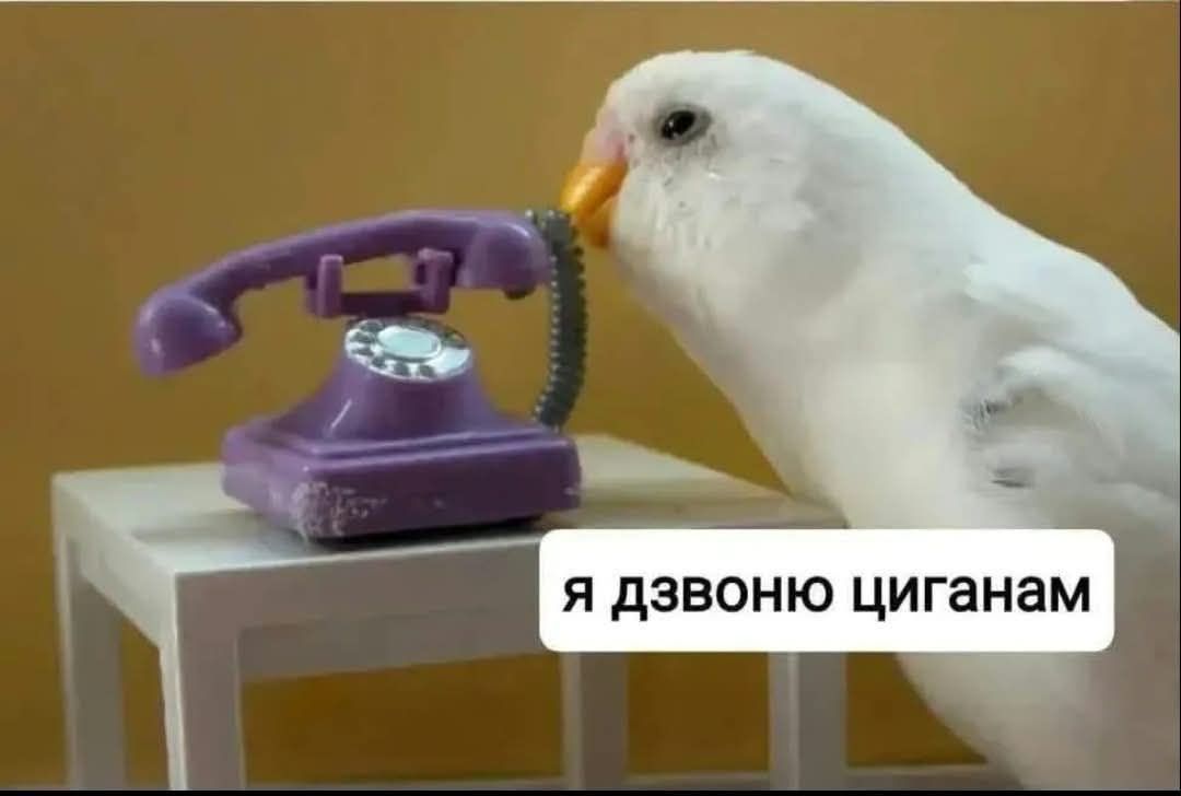 Забавные мемы, которые нужны каждому, кто пытается выжить в этом мире - фото 919046