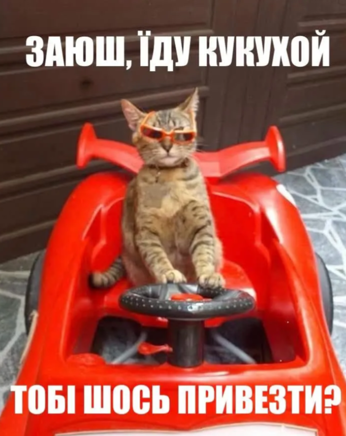 Забавные мемы, которые нужны каждому, кто пытается выжить в этом мире - фото 919047
