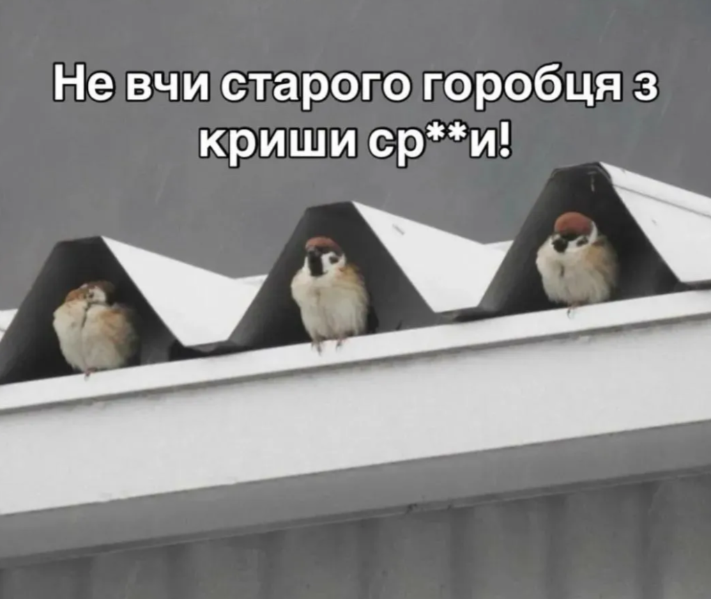 Забавные мемы, которые нужны каждому, кто пытается выжить в этом мире - фото 919049