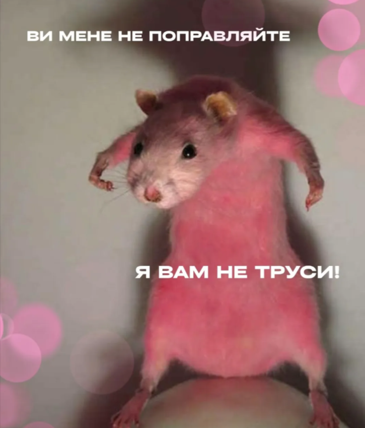 Забавные мемы, которые нужны каждому, кто пытается выжить в этом мире - фото 919050