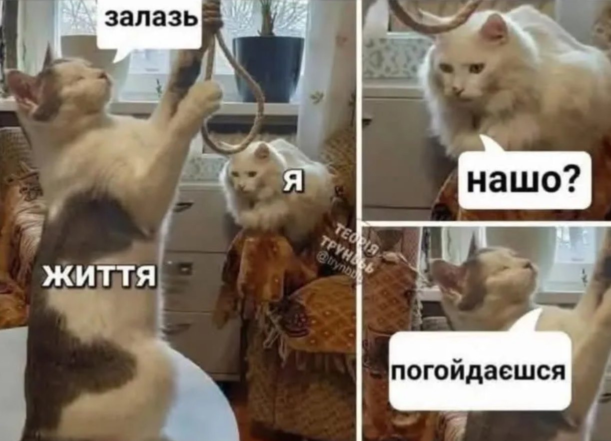 Забавные мемы, которые нужны каждому, кто пытается выжить в этом мире - фото 919051