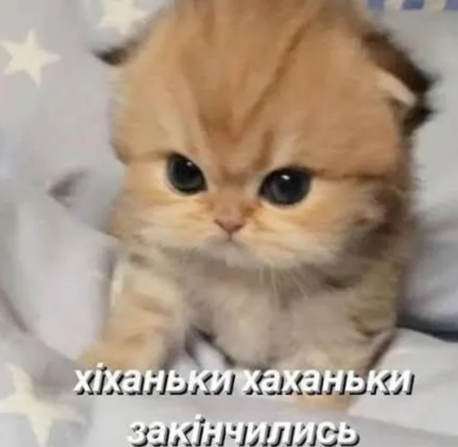Забавные мемы, которые нужны каждому, кто пытается выжить в этом мире - фото 919052