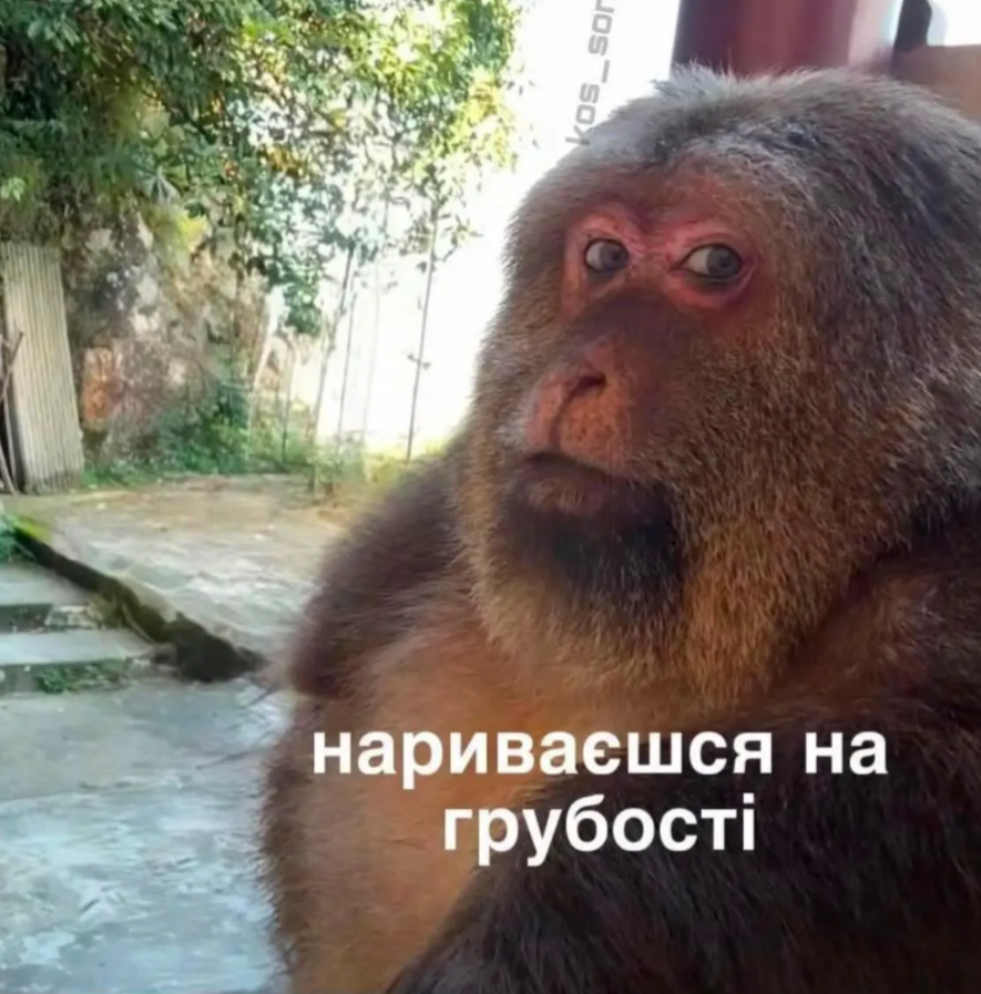 Забавные мемы, которые нужны каждому, кто пытается выжить в этом мире - фото 919053