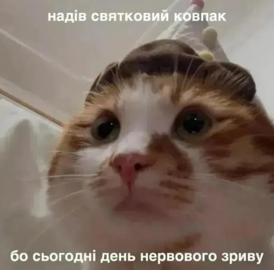 Забавные мемы, которые нужны каждому, кто пытается выжить в этом мире - фото 919055