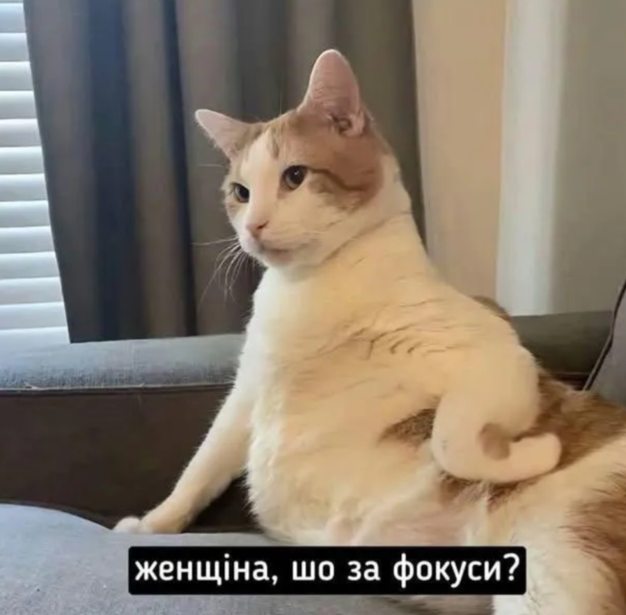 Забавные мемы, которые нужны каждому, кто пытается выжить в этом мире - фото 919056