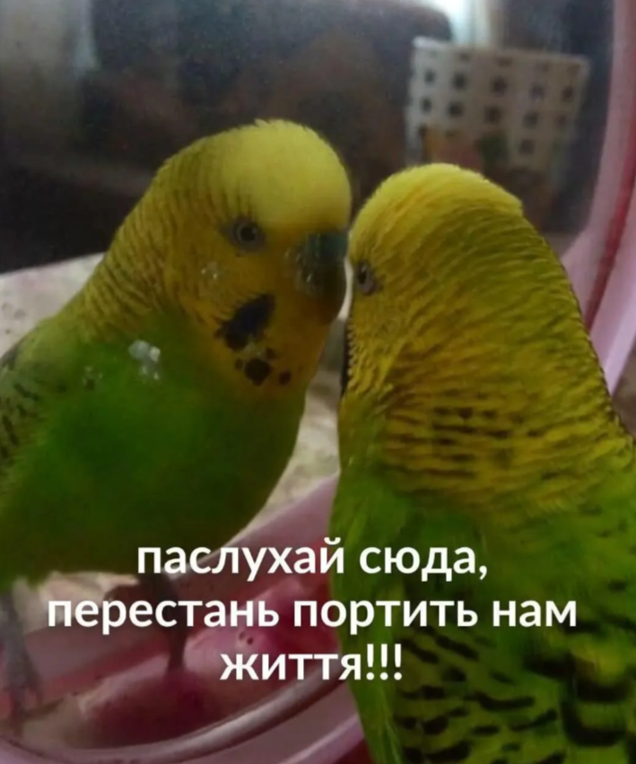 Забавные мемы, которые нужны каждому, кто пытается выжить в этом мире - фото 919057