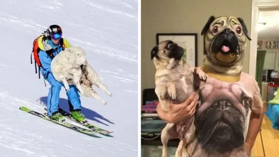 18 фотографій, після яких хочеться лише одного – отримати пояснення
