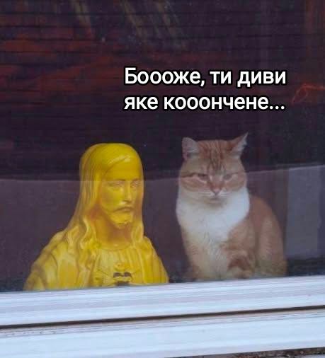 Кіт, що сидить зі статуєю Ісуса, став мемом у Threads - 921512 Кіт, що сидить зі статуєю Ісуса, став мемом у Threads - фото 921512