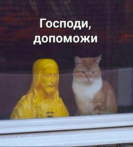 Кіт, що сидить зі статуєю Ісуса, став мемом у Threads - 921513 Кіт, що сидить зі статуєю Ісуса, став мемом у Threads - фото 921513
