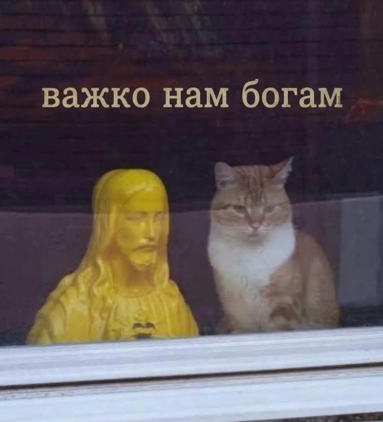 Кіт, що сидить зі статуєю Ісуса, став мемом у Threads - 921520 Кіт, що сидить зі статуєю Ісуса, став мемом у Threads - фото 921520