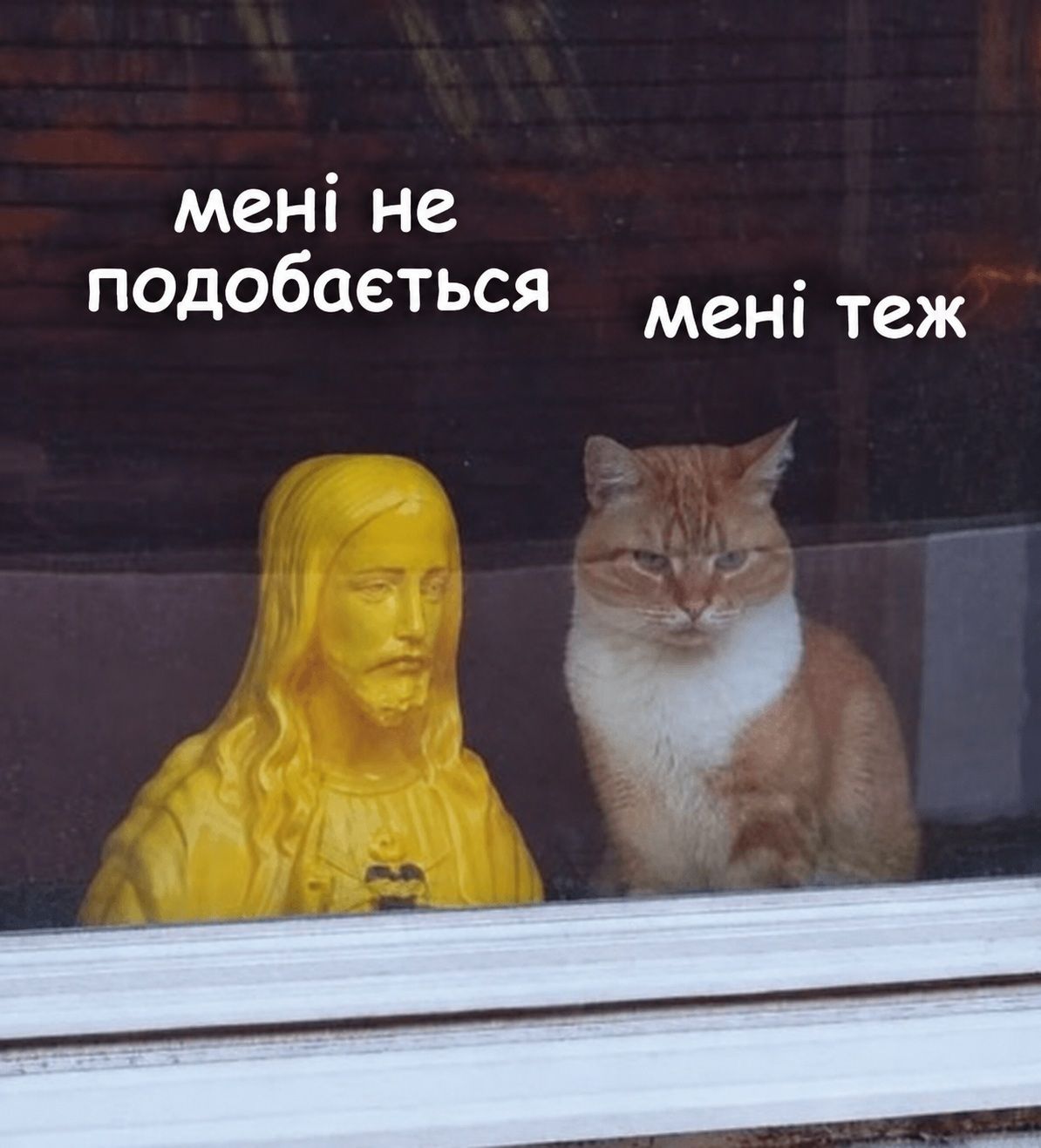 Кіт, що сидить зі статуєю Ісуса, став мемом у Threads - 921537 Кіт, що сидить зі статуєю Ісуса, став мемом у Threads - фото 921537