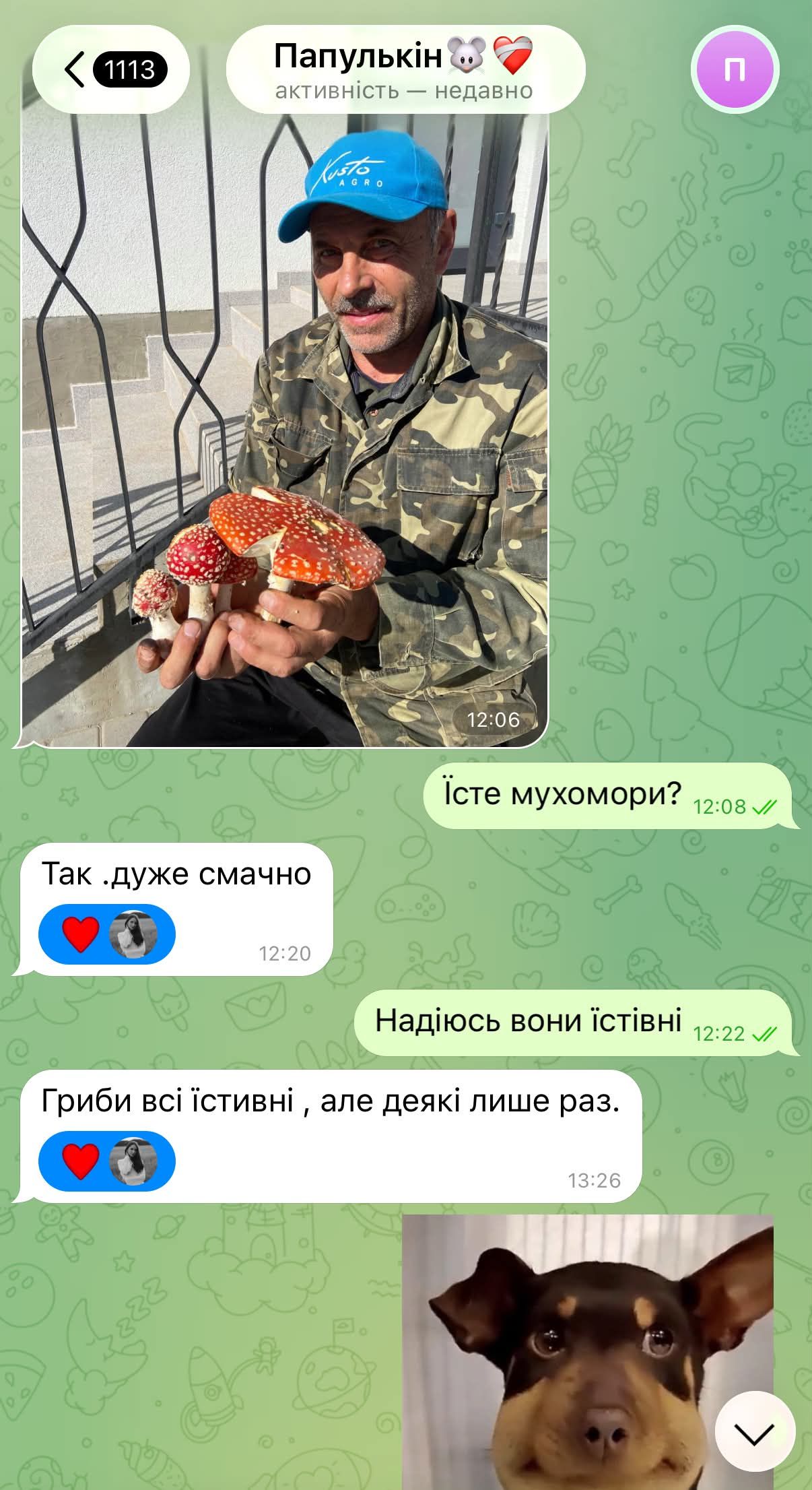 Смішніше за будь-який стендап: українці показали свої переписки з батьками - фото 921730