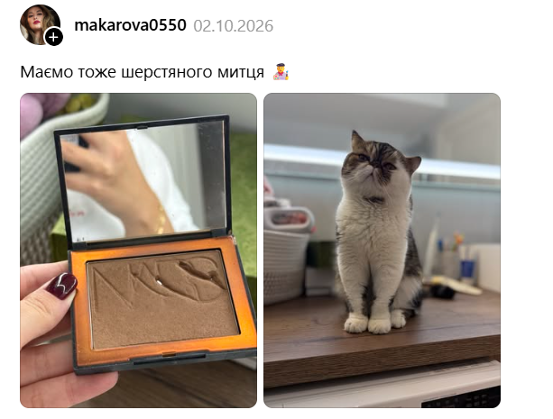 Творіння і творець: юзери показують своїх пухнастих бешкетників, які наробили шкоди - 922106 Творіння і творець: юзери показують своїх пухнастих бешкетників, які наробили шкоди - фото 922106