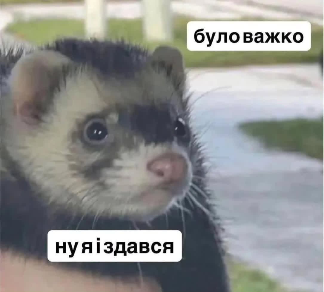 Меми про нелегке життя, яке ми любимо ще більше ускладнювати - фото 922908