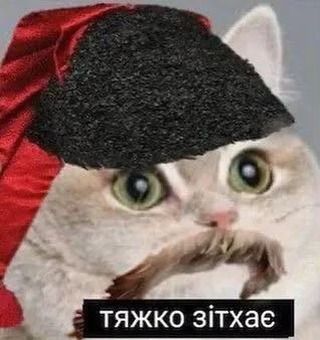 Меми про нелегке життя, яке ми любимо ще більше ускладнювати - фото 922909