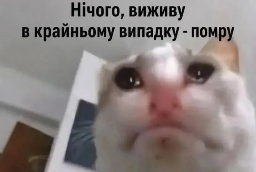 Меми про нелегке життя, яке ми любимо ще більше ускладнювати - фото 922910