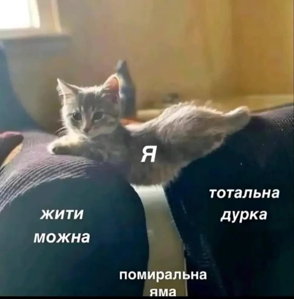 Меми про нелегке життя, яке ми любимо ще більше ускладнювати - фото 922911