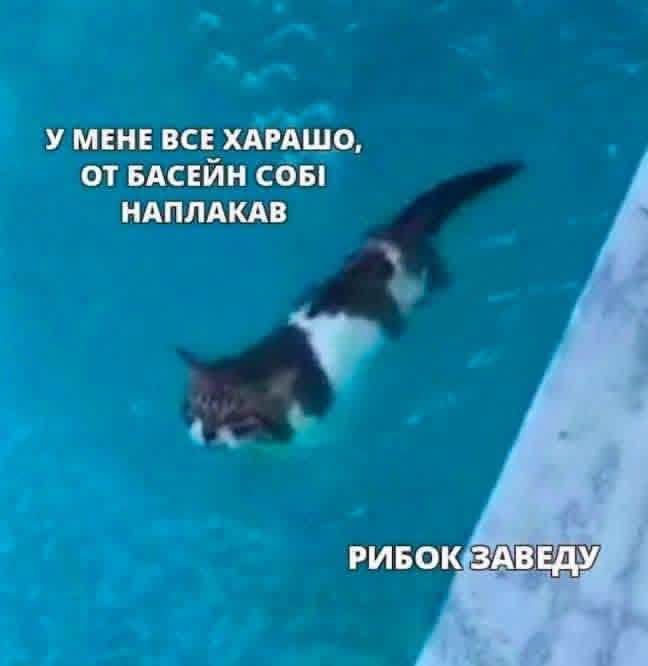 Меми про нелегке життя, яке ми любимо ще більше ускладнювати - фото 922912