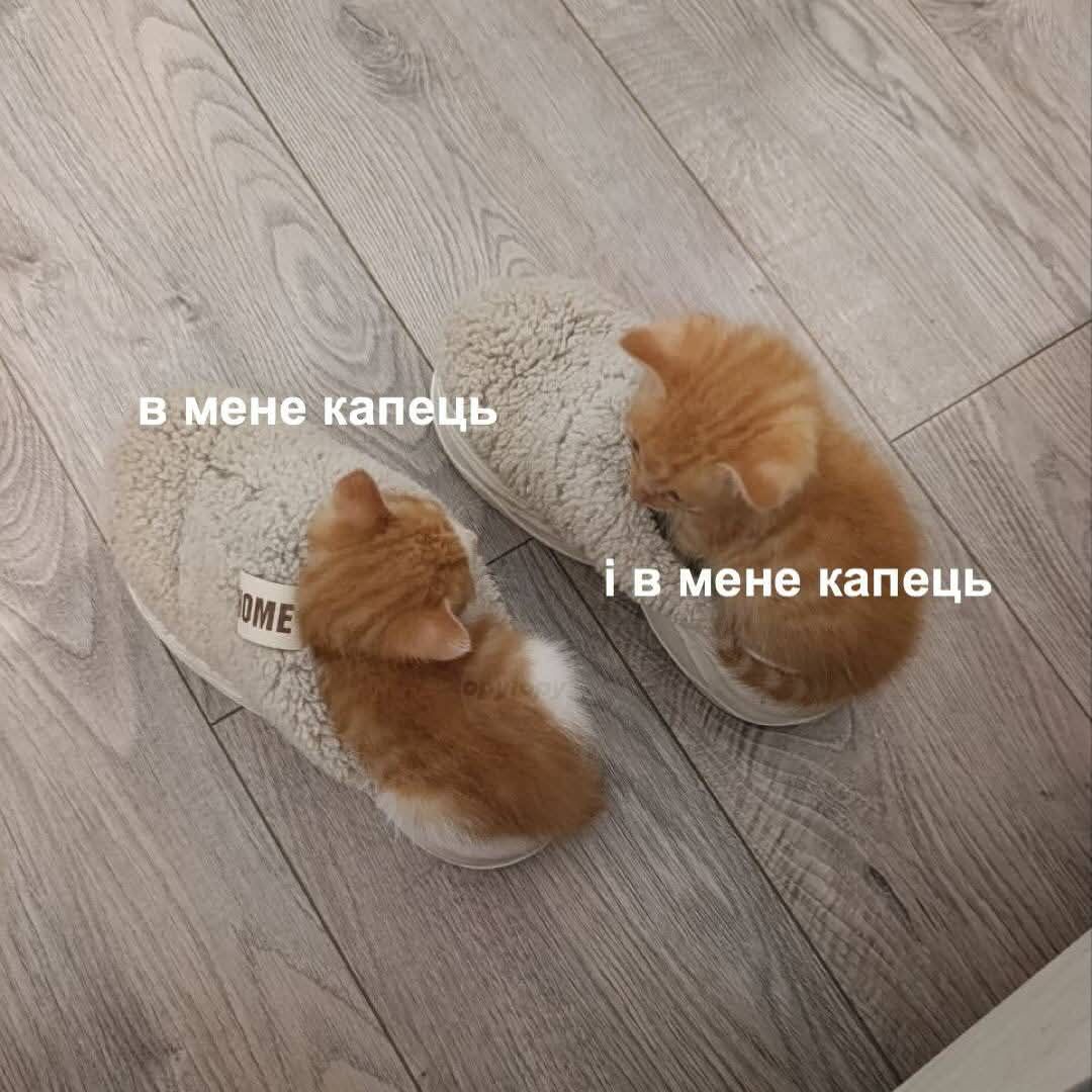 Меми про нелегке життя, яке ми любимо ще більше ускладнювати - фото 922916