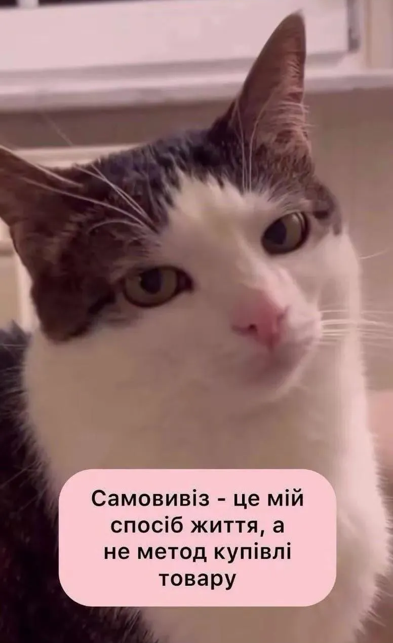 Меми про нелегке життя, яке ми любимо ще більше ускладнювати - фото 922917