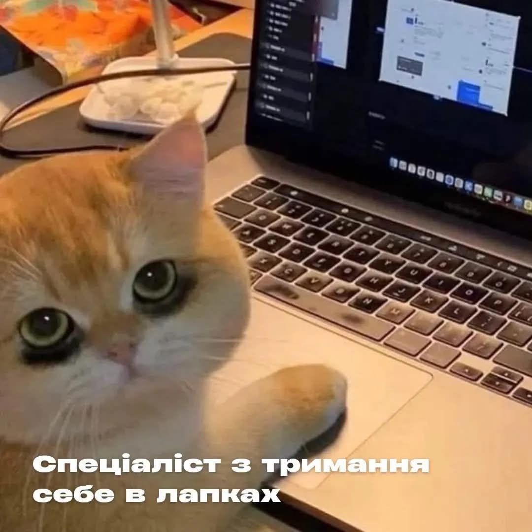 Меми про нелегке життя, яке ми любимо ще більше ускладнювати - фото 922919