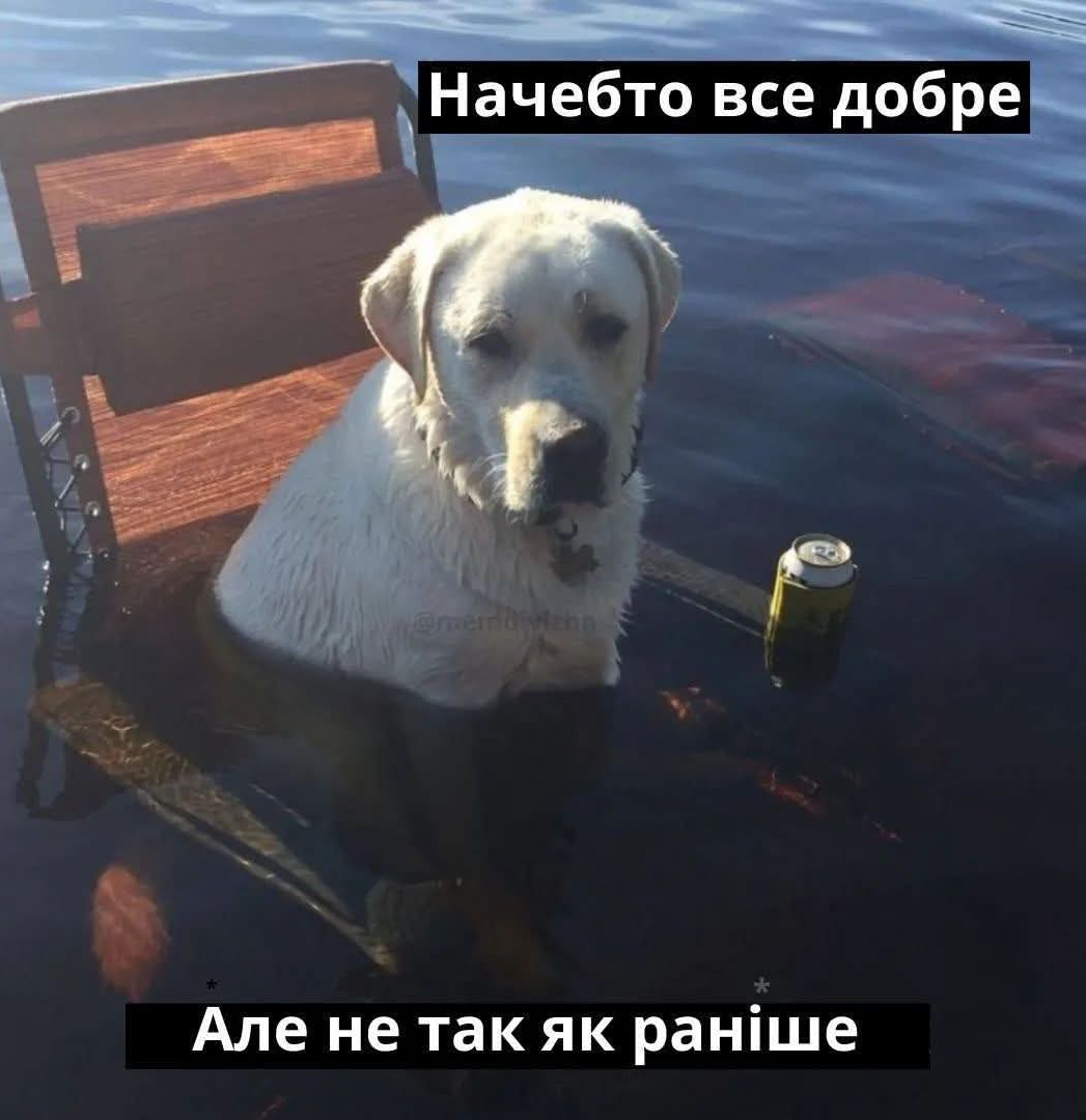 Меми про нелегке життя, яке ми любимо ще більше ускладнювати - фото 922923