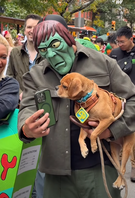 Песик у Бетмобілі та собака-шведський стіл: у Нью-Йорку відбувся собачий парад на Геловін - фото 924196