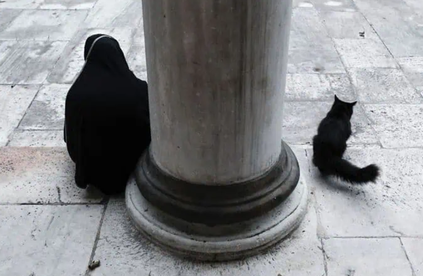 16 фото, на яких усе збіглося ідеально: вуличні кадри, що змушують усміхнутися - фото 924524