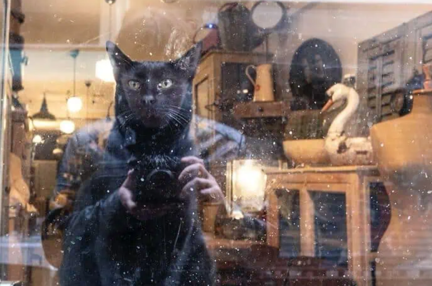 16 фото, на яких усе збіглося ідеально: вуличні кадри, що змушують усміхнутися - фото 924531