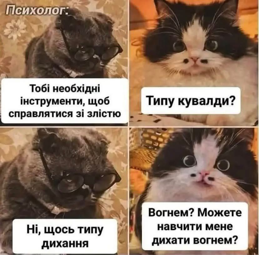 Мемы на все случаи жизни, которые пополнят твою мемную копилку - фото 925135