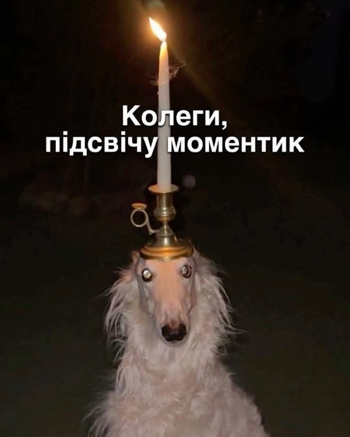 Мемы на все случаи жизни, которые пополнят твою мемную копилку - фото 925139