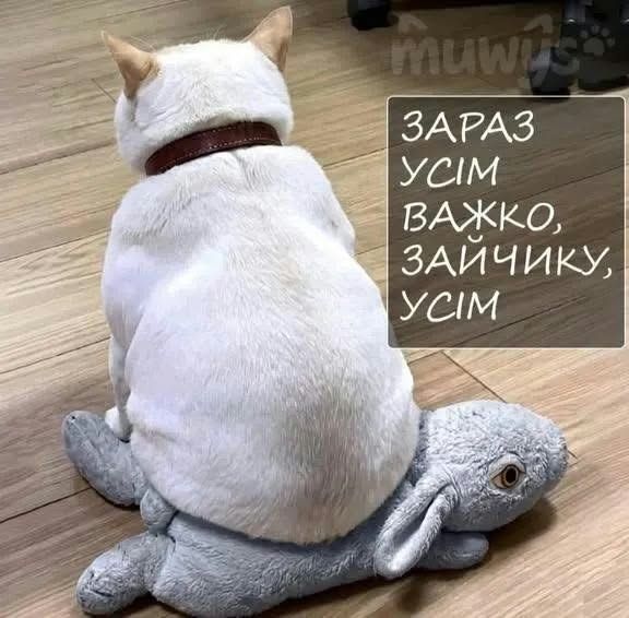 Мемы на все случаи жизни, которые пополнят твою мемную копилку - фото 925140