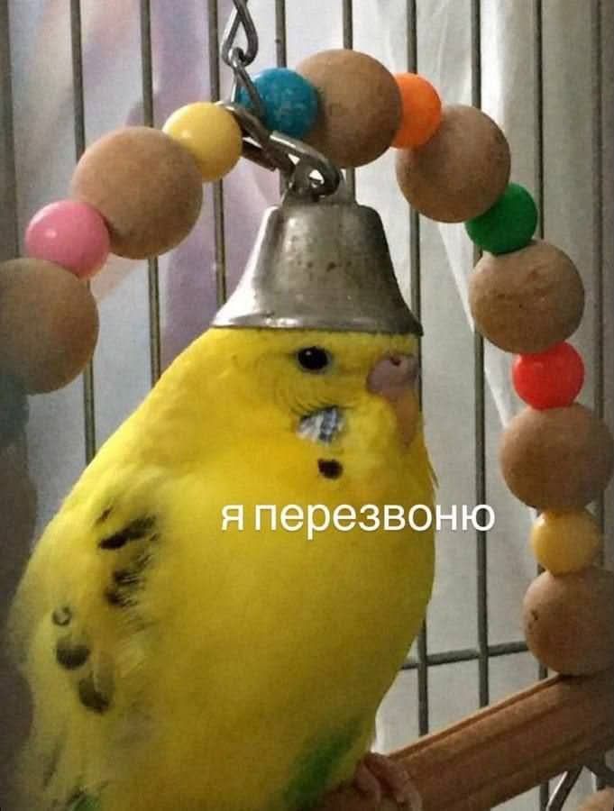 Мемы на все случаи жизни, которые пополнят твою мемную копилку - фото 925141
