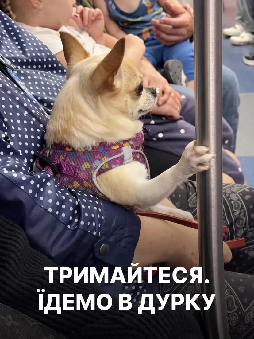 Мемы на все случаи жизни, которые пополнят твою мемную копилку - фото 925142